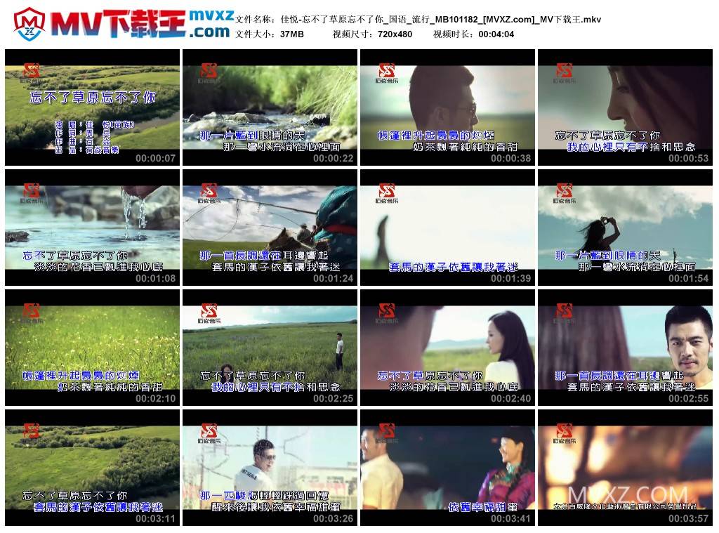 佳悦-忘不了草原忘不了你_国语_流行_MB101182